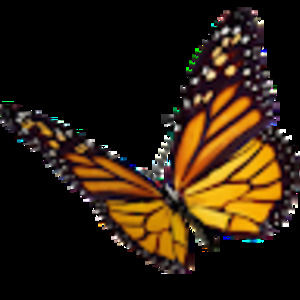 Meet your Posher, Krista